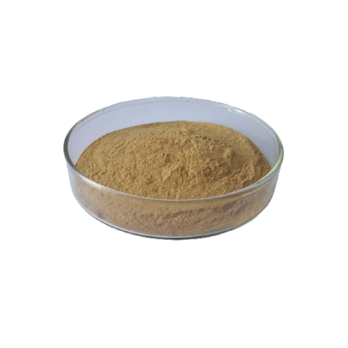 Multi Function Food Antioxidant Green Tea Extracts Polyphenols Manufactory